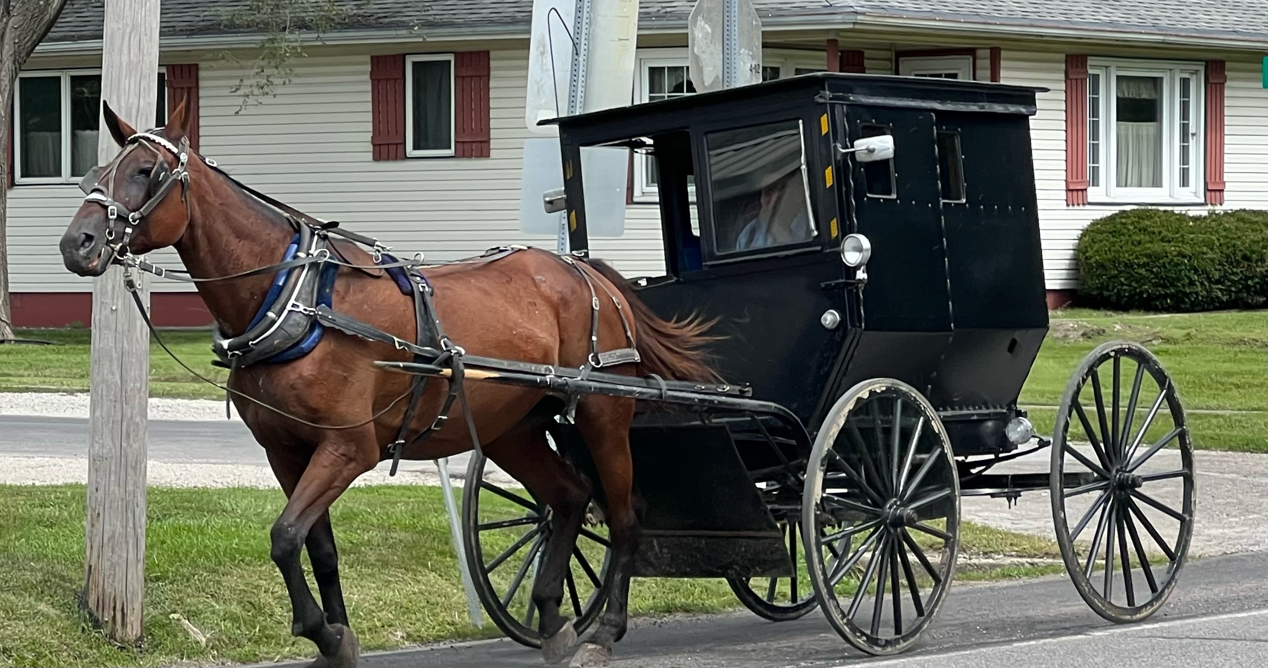 Day Trip to Arthur, IL:  Butcher Blocks, Corvettes, Harleys, Horses & Buggies, and a Covered Bridge